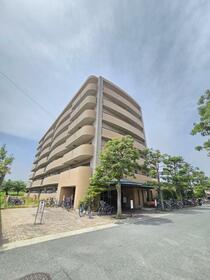 ディオフェルティ丹波橋右芳館