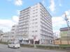 コーポ円座 8階 築51年2ヶ月の賃貸物件