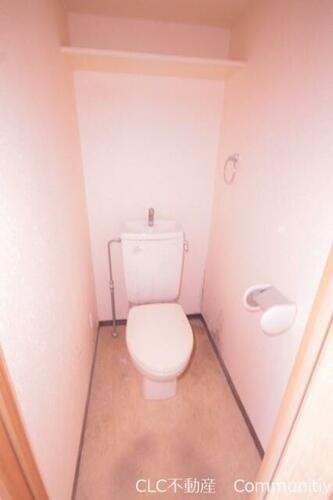 ルピナス・キクヨ_その他_7