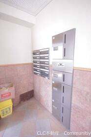 ルピナス・キクヨ_その他_11