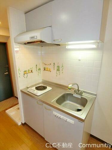 ルピナス・キクヨ_その他_1