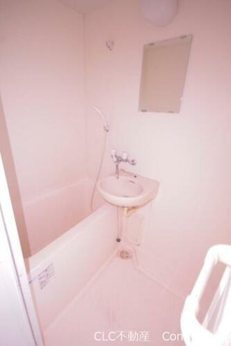 ルピナス・キクヨ_その他_3