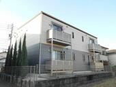 サン・ｆｒｉｅｎｄｓ和のイメージ