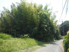 千葉県印旛郡栄町龍角寺