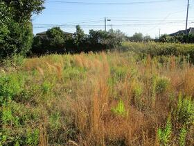 千葉県南房総市千倉町瀬戸