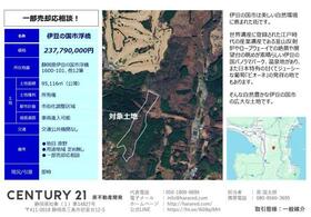 静岡県伊豆の国市浮橋