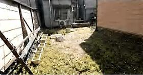 東京都墨田区立花４丁目