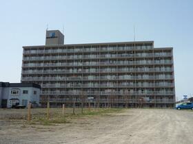 マック青森コート