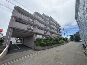 シーダム藤沢善行