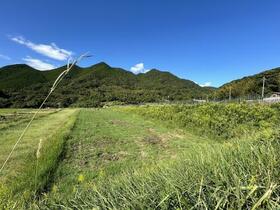 山口県下関市大字井田
