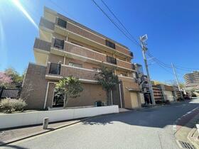 Ｔｈｅ　ＮＯＢＵＴＯ　ＨＩＬＬＳ　ＦＯＲＥＳＴ　ＣＯＵＲＴ