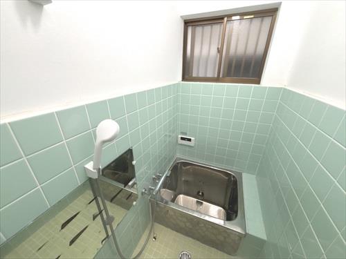 Image 8