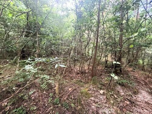 Land, 福岡県 福岡市