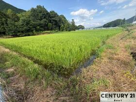 滋賀県野洲市三上
