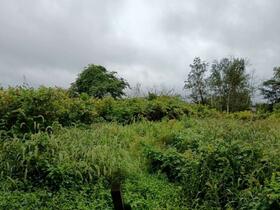 北海道札幌市東区中沼町