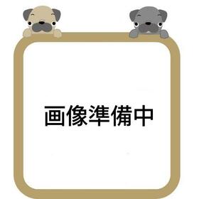 愛知県豊田市西岡町切畑