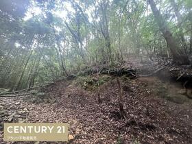 兵庫県西宮市山口町船坂