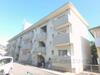 中川ハイツ 2階 築50年7ヶ月の賃貸物件