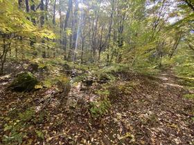 岐阜県郡上市高鷲町鷲見
