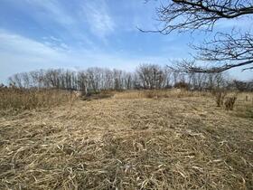 北海道札幌市手稲区手稲前田