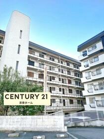 秋篠サンパレス１号棟