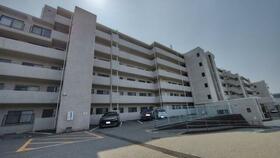 ダイアパレス輝国