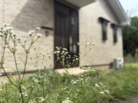 東京都府中市住吉町１丁目