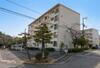 ひよどり台１団地８号棟 1階 築51年2ヶ月の賃貸物件