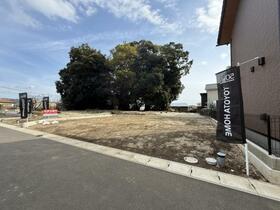 静岡県裾野市茶畑