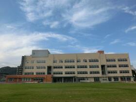 広島県三原市皆実６丁目