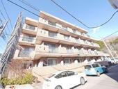 サザンストリームのイメージ