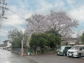東京都三鷹市野崎１丁目