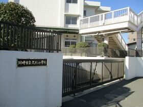 パルミナード高津西