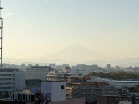 メディウス藤沢