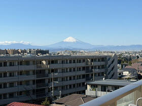 ヴェレーナ江ノ島