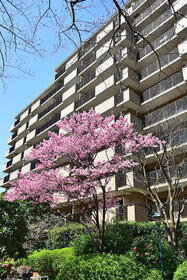 神奈川県横浜市中区本牧原