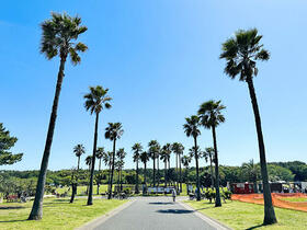 神奈川県藤沢市辻堂元町２丁目