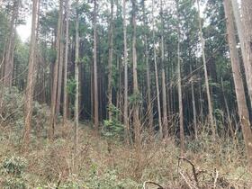茨城県石岡市柴内
