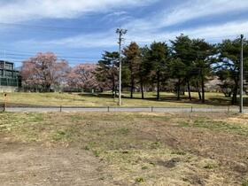 長野県北佐久郡御代田町大字御代田