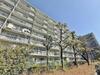 マンションニュー中山 8階 築52年10ヶ月の賃貸物件