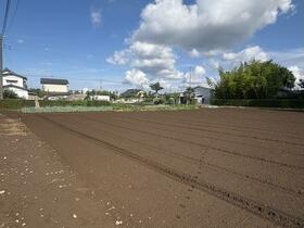 茨城県つくば市小野崎
