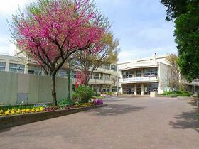 神奈川県相模原市南区相模台７丁目