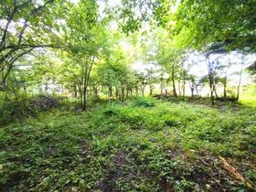 長野県北佐久郡軽井沢町大字長倉