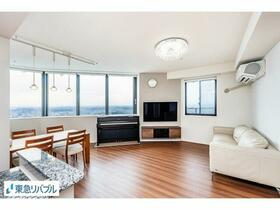 パークシティ武蔵小杉ザガーデンタワーズウエスト