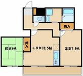 シルクトゥリーのイメージ