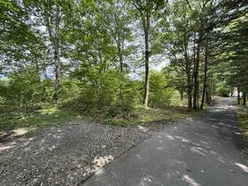 長野県北佐久郡軽井沢町軽井沢