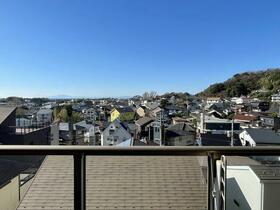 アデニウム葉山一色