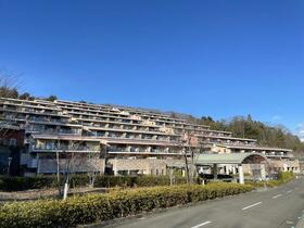 ダイアパレスラピュータ国見