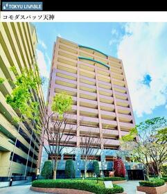 コモダスパッソ天神