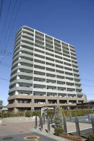 ベルドゥムール北鴻巣